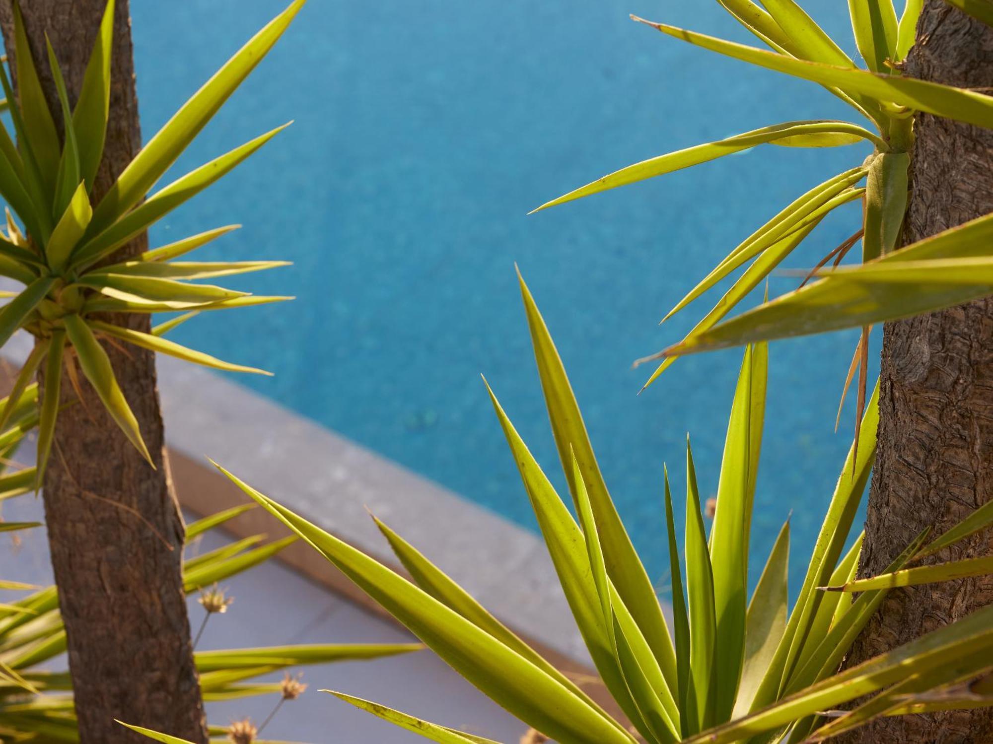 The Roc Club, A Grecotel Hotel To Live Vouliagméni Exteriör bild
